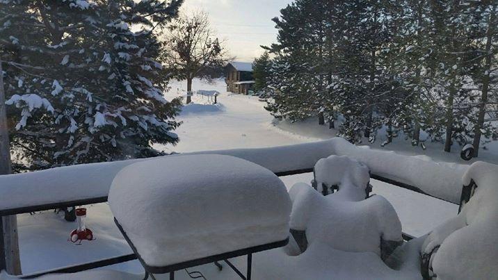 Katawoda Cottage Resort Nobel Oda fotoğraf